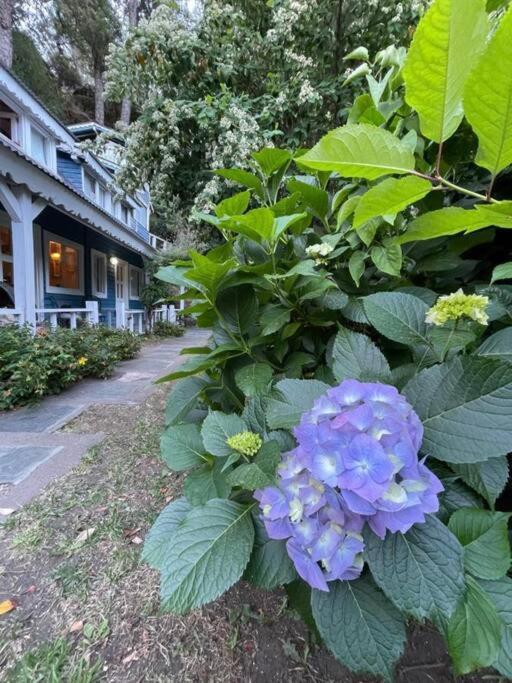 La Casita Azul Holiday home